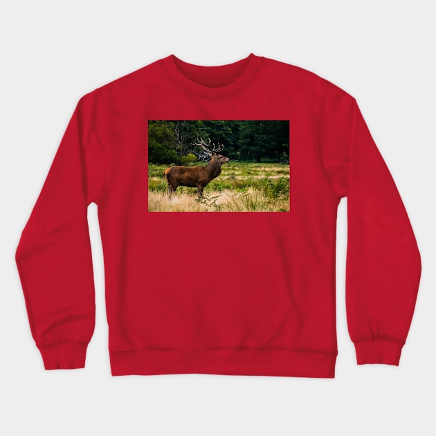 Wild life design Crewneck Sweatshirt by GenesisClothing